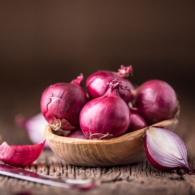 Onion Exporter in Jamshedpur