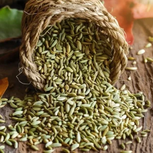 Fennel Seeds
